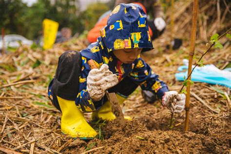 哪裡可以種樹|種樹救地球的條件──愛地球 用對方法不踩雷